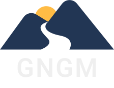 About GNGM